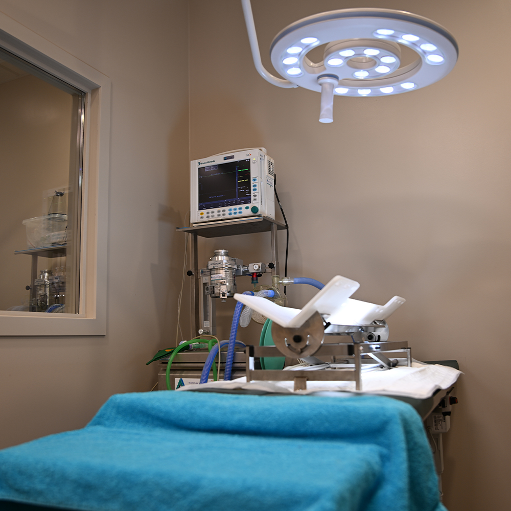 Operatie bij DAP in Ternat