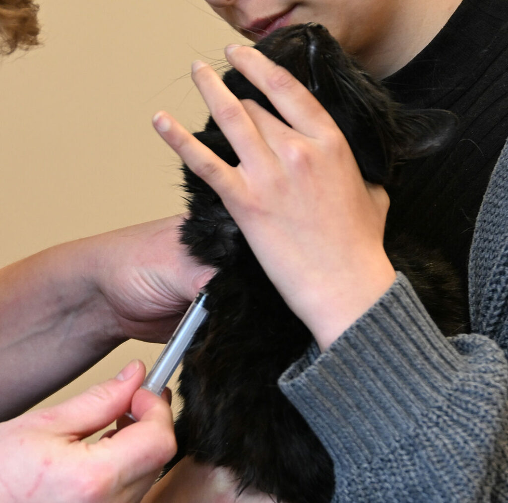 Jaarlijkse vaccinatie van uw huisdier