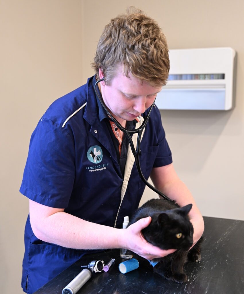 Jaarlijkse controle van uw huisdier bij de dierenarts